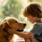 Non si vede bene che col cuore: il significato della frase e il suo valore nell’educazione dei bambini